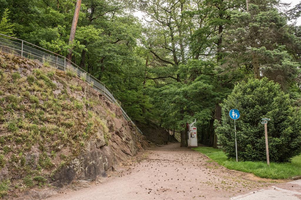 Loftwohnung Mit Sauna - Natur Und Kultur In Eisenach Erleben Und Geniessen Extérieur photo